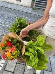 schoergi.at Das Ufer